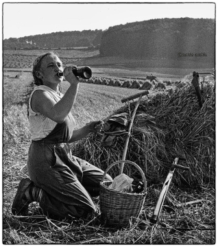 20.-Erntezeit - 1961