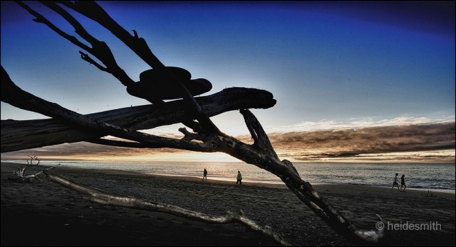 Hokitika beach - 2010 - LELA023