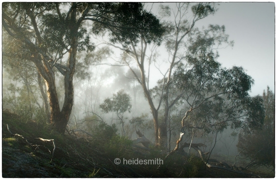 Mt Ainslie - 1997 - LELA022