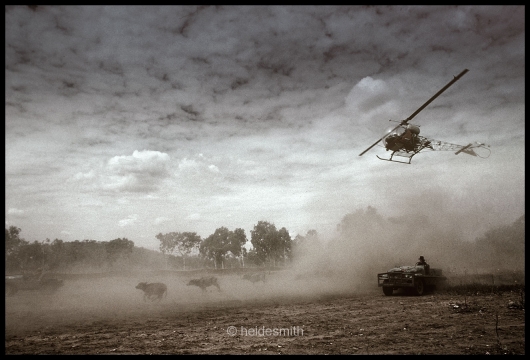 Buffalo Round-up Chopper NT - 1987 - LELA011
