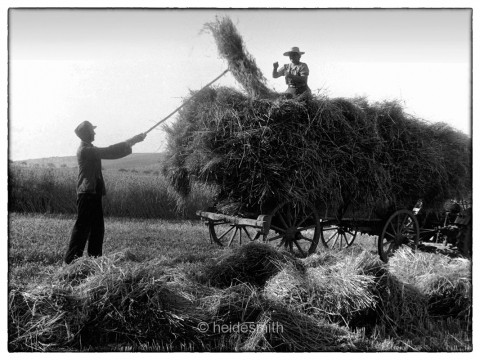 Making Hay 2 - 1960 - LELA029