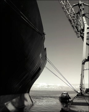 Moored - Port Botany - 1999 - LELA037
