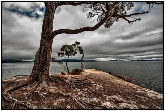 Tasmania - 2014 - LELA043