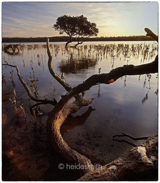 Wapengo Creek - 1985 - LELA046