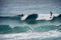 Surfing Duo - 2020 - TH3811