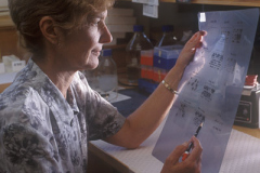 Prof Sue Serjeantson - 1996 - LNA077
