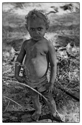 raphael Melville Island - 1994 - VIA006