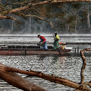 oyster farmers