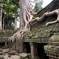 cambodian temples